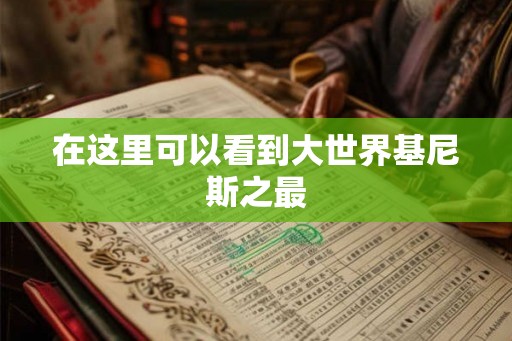 在这里可以看到大世界基尼斯之最