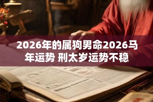 2026年的属狗男命2026马年运势 刑太岁运势不稳