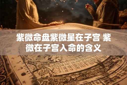 紫微命盘紫微星在子宫 紫微在子宫入命的含义