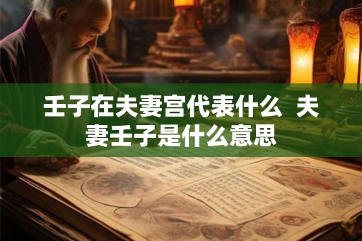壬子在夫妻宫代表什么  夫妻壬子是什么意思