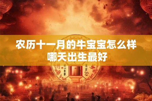 农历十一月的牛宝宝怎么样 哪天出生最好 农历十一月的牛宝宝怎么样 哪天出生最好