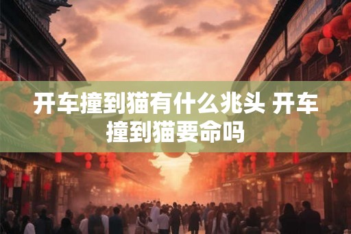 开车撞到猫有什么兆头 开车撞到猫要命吗