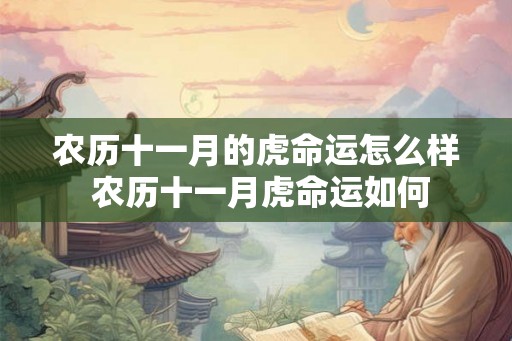 农历十一月的虎命运怎么样 农历十一月虎命运如何