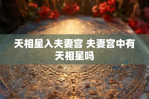 天相星入夫妻宫 夫妻宫中有天相星吗