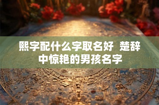 熙字配什么字取名好  楚辞中惊艳的男孩名字