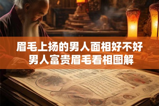 眉毛上扬的男人面相好不好 男人富贵眉毛看相图解