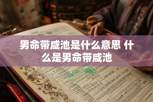 男命带咸池是什么意思 什么是男命带咸池