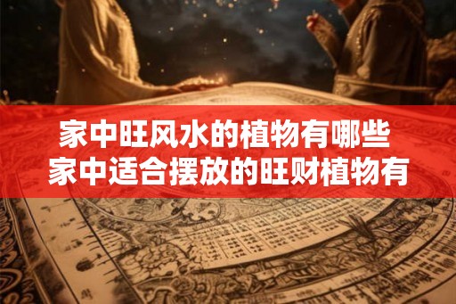 家中旺风水的植物有哪些 家中适合摆放的旺财植物有哪些