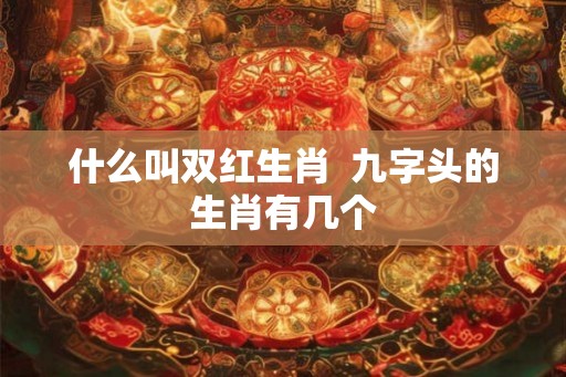什么叫双红生肖  九字头的生肖有几个
