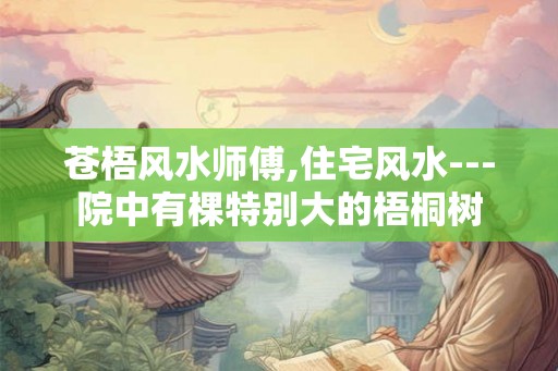 苍梧风水师傅,住宅风水---院中有棵特别大的梧桐树