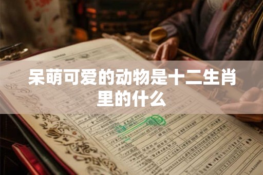 呆萌可爱的动物是十二生肖里的什么