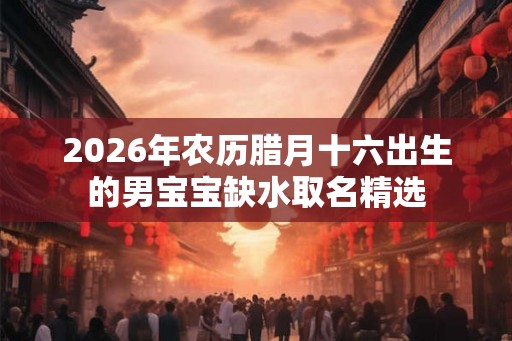 2026年农历腊月十六出生的男宝宝缺水取名精选