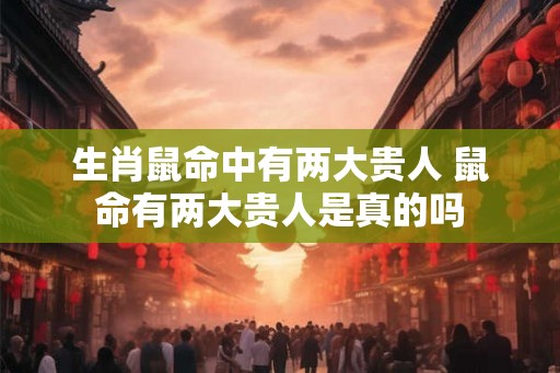 生肖鼠命中有两大贵人 鼠命有两大贵人是真的吗