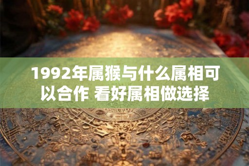 1992年属猴与什么属相可以合作 看好属相做选择