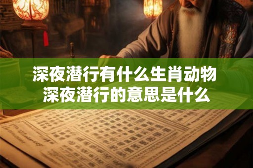 深夜潜行有什么生肖动物 深夜潜行的意思是什么