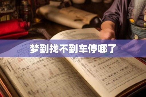 梦到找不到车停哪了