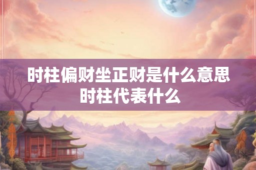 时柱偏财坐正财是什么意思 时柱代表什么
