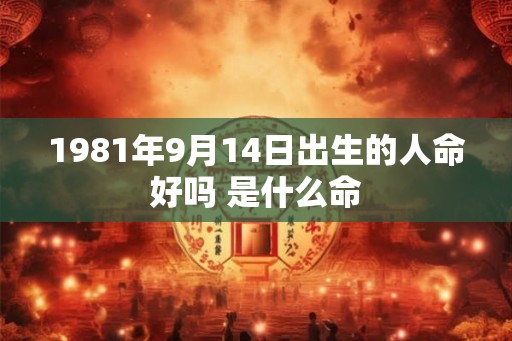 1981年9月14日出生的人命好吗 是什么命