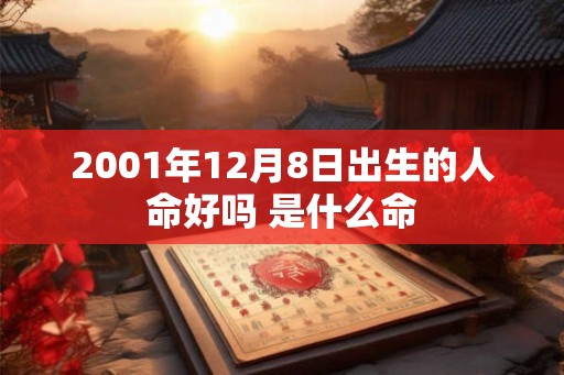 2001年12月8日出生的人命好吗 是什么命