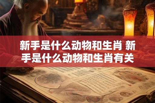 新手是什么动物和生肖 新手是什么动物和生肖有关