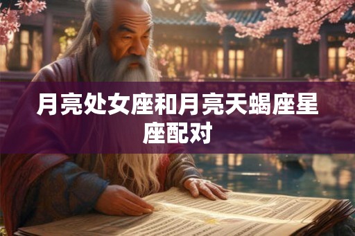 月亮处女座和月亮天蝎座星座配对