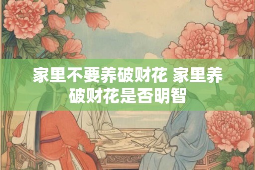 家里不要养破财花 家里养破财花是否明智