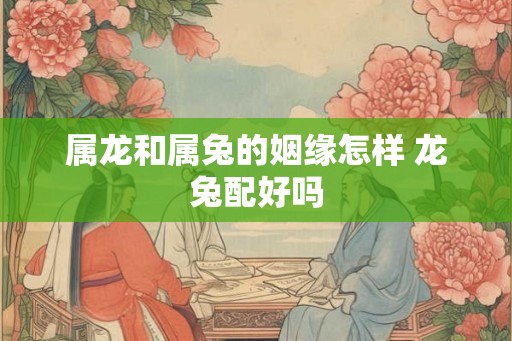 属龙和属兔的姻缘怎样 龙兔配好吗