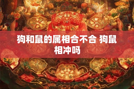 狗和鼠的属相合不合 狗鼠相冲吗 狗和鼠的属相合不合 狗鼠相冲吗