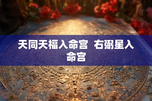 天同天福入命宫  右弼星入命宫
