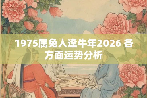 1975属兔人逢牛年2026 各方面运势分析