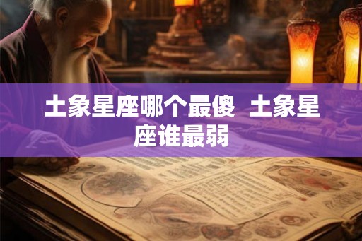 土象星座哪个最傻  土象星座谁最弱