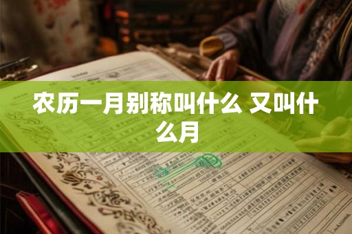 农历一月别称叫什么 又叫什么月