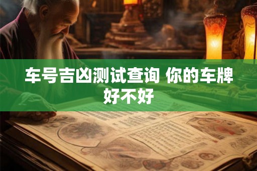 车号吉凶测试查询 你的车牌好不好