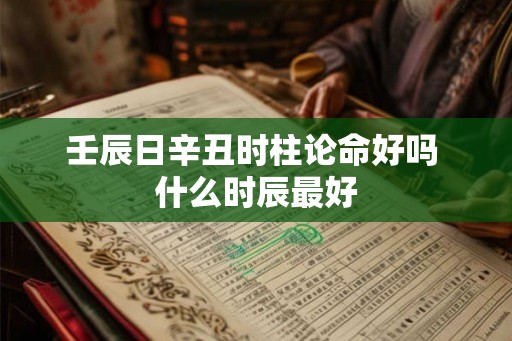 壬辰日辛丑时柱论命好吗 什么时辰最好