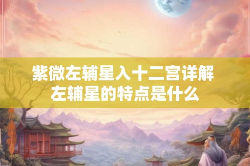紫微左辅星入十二宫详解 左辅星的特点是什么