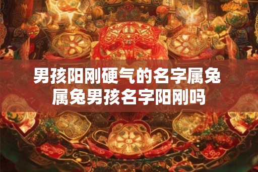 男孩阳刚硬气的名字属兔 属兔男孩名字阳刚吗