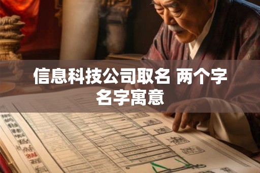 信息科技公司取名 两个字名字寓意 信息科技公司取名 两个字名字寓意