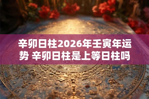 辛卯日柱2026年壬寅年运势 辛卯日柱是上等日柱吗 辛卯日柱2026年壬寅年运势 辛卯日柱是上等日柱吗