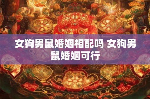 女狗男鼠婚姻相配吗 女狗男鼠婚姻可行