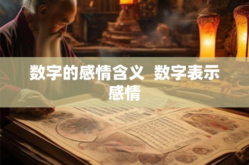 数字的感情含义  数字表示感情