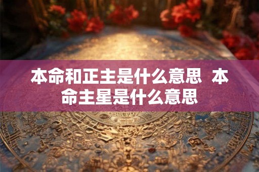 本命和正主是什么意思  本命主星是什么意思