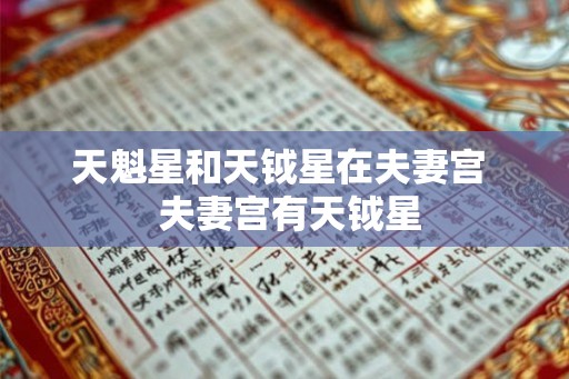 天魁星和天钺星在夫妻宫  夫妻宫有天钺星