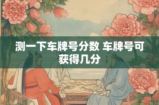 测一下车牌号分数 车牌号可获得几分