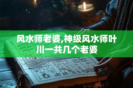 风水师老婆,神级风水师叶川一共几个老婆