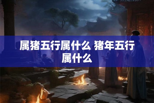 属猪五行属什么 猪年五行属什么