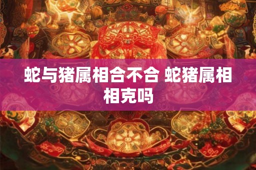 蛇与猪属相合不合 蛇猪属相相克吗
