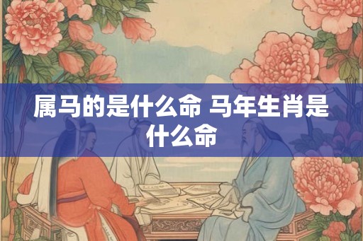 属马的是什么命 马年生肖是什么命