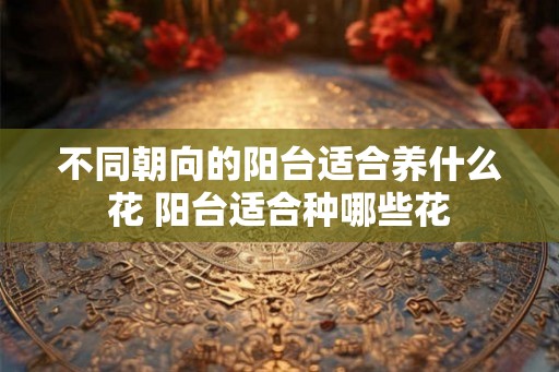 不同朝向的阳台适合养什么花 阳台适合种哪些花
