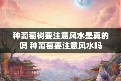种葡萄树要注意风水是真的吗 种葡萄要注意风水吗
