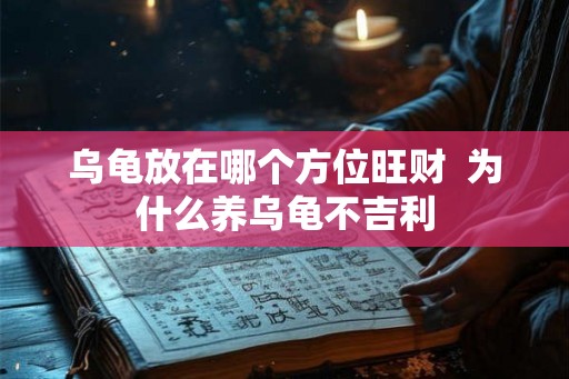 乌龟放在哪个方位旺财  为什么养乌龟不吉利